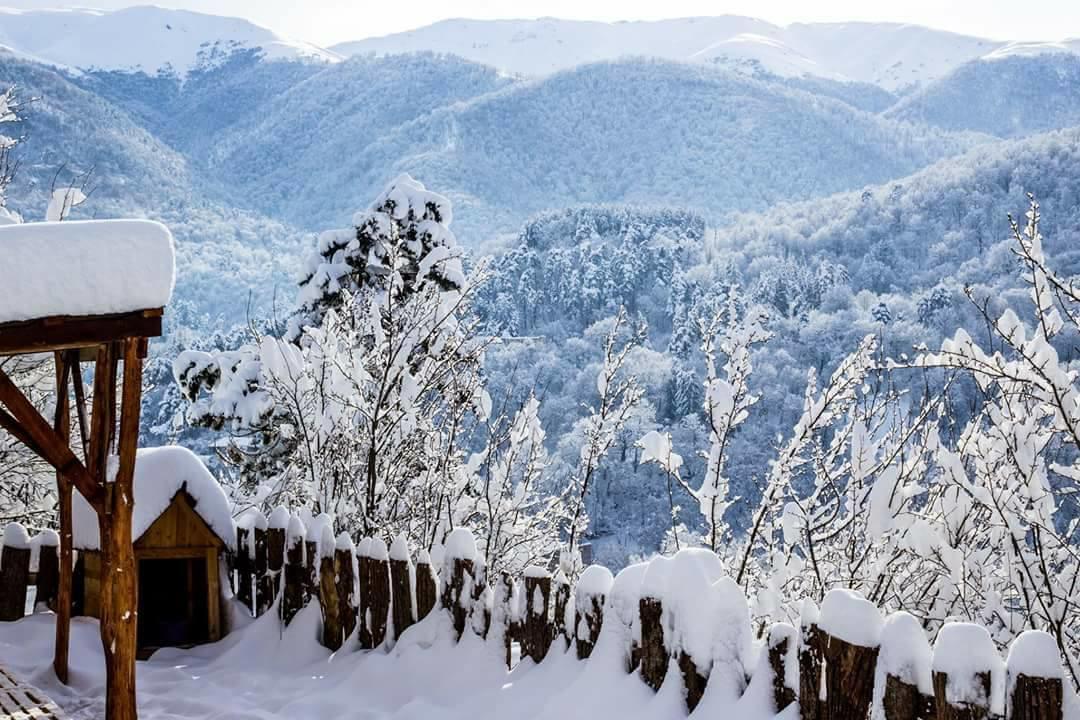 Popock Dilijan 1 Hotel Exterior photo